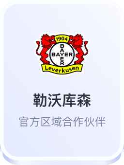 开云体育与勒沃库森官方区域合作伙伴